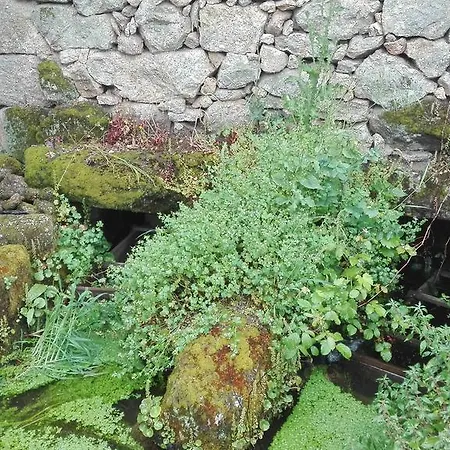 Σπίτι διακοπών Casa Da Rosa *