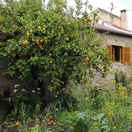 Casa Da Rosa