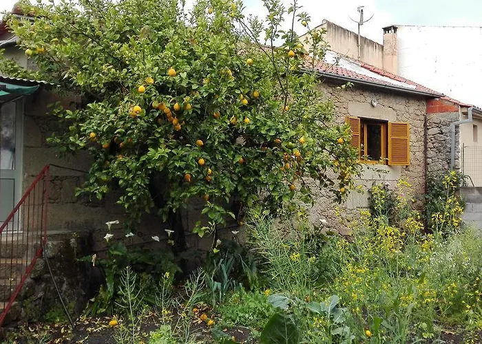 Casa Da Rosa